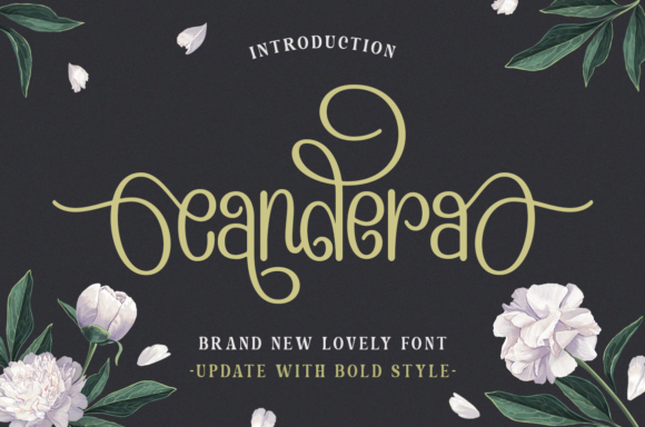 Candera Font: A Chic Display Typeface for Polished Branding