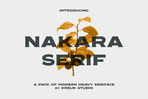 Nakara Serif for Bold Display Typography