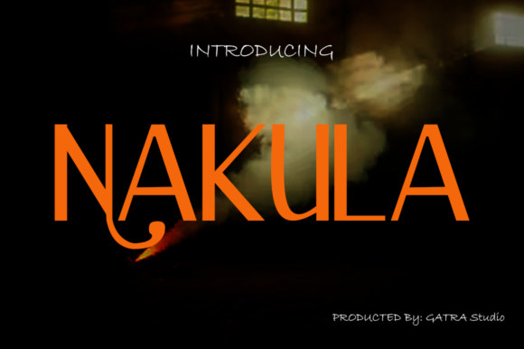 Nakula Font: A Playful Typeface for Business Branding